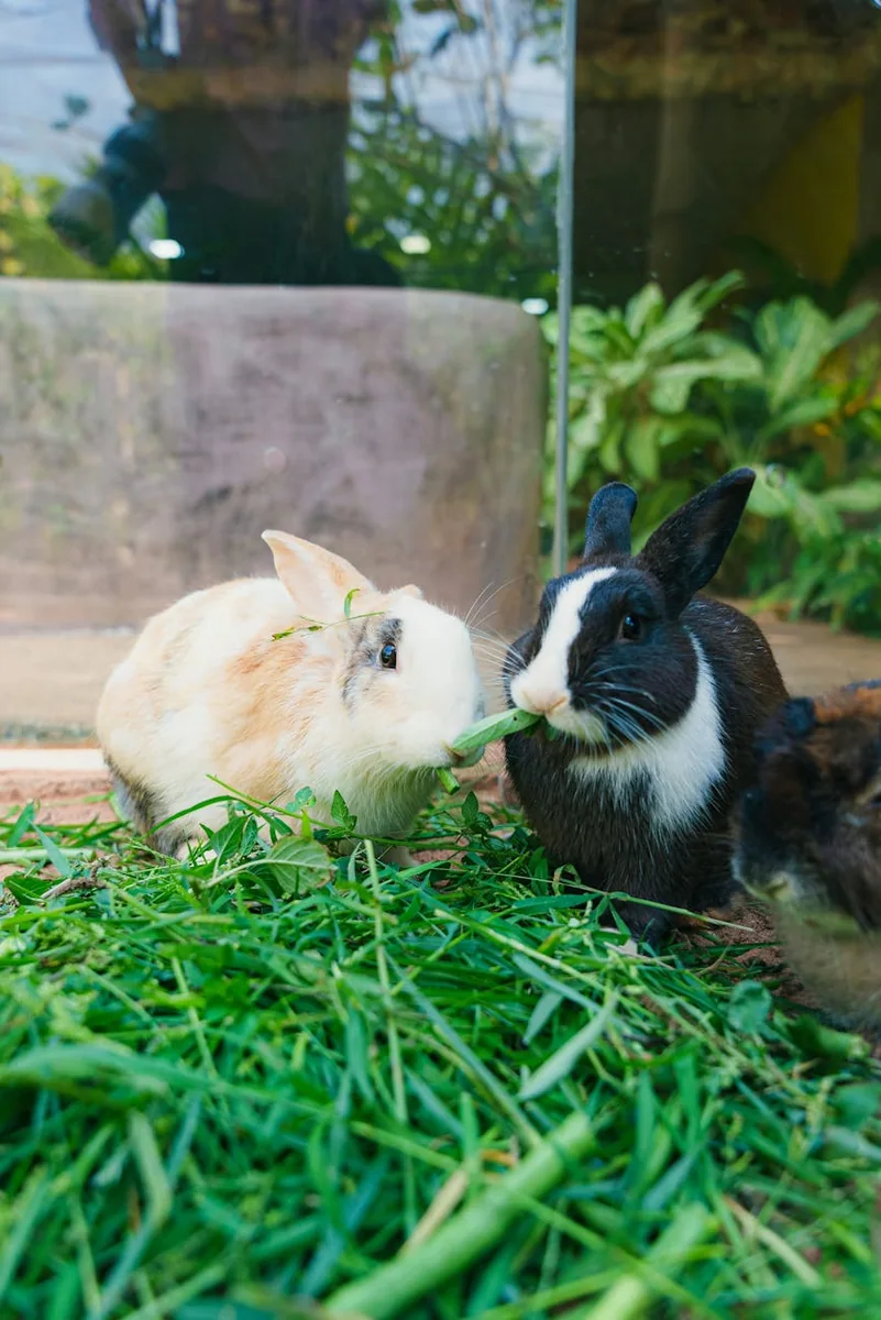 爆料瓜核验范围页面：材料按信息对象分类归档的工作台面